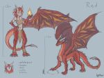  4:3 animal_humanoid claws dragon dragon_humanoid english_text female fire grin hi_res horn horn_jewelry horn_ring humanoid klifflod looking_at_viewer membrane_(anatomy) membranous_wings model_sheet monster_girl_(genre) ornament red_(klifflod) red_body red_scales ring_(jewelry) scales signature sketch smile solo spikes text wings yellow_eyes 