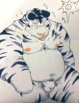  2021 anthro asian_clothing balls_outline belly bulge clothing east_asian_clothing eyes_closed felid fundoshi genital_outline hi_res japanese_clothing kemono male mammal moobs navel nipples outside overweight overweight_male pantherine pubes solo suishou0602 sun tiger tongue tongue_out underwear white_body white_clothing white_fundoshi white_underwear 