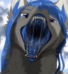  anthro blue_eyes blue_flesh blue_hair blue_nose bodily_fluids canid canine grey_body hair hi_res male mammal mouth_shot open_mouth portrait saliva saliva_string solo taithefox teeth throat tongue voregence 