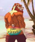  absurd_res anthro anthro_male back_muscles beach big_biceps big_muscles big_triceps black_pawpads blizzard_entertainment blue_sky blue_speedo bottomwear braided_hair bristol brown_arms brown_back brown_beard brown_body brown_bottomwear brown_clothing brown_ears brown_eyebrows brown_fur brown_head brown_markings brown_nose brown_pants closed_smile clothed clothing colored day detailed_background digital_drawing_(artwork) digital_media_(artwork) eyebrows facial_markings fan_character fur hair head_markings hi_res humor innuendo joke light looking_away looking_back male mammal markings multicolored_ears multicolored_speedo muscular muscular_anthro muscular_male orange_speedo outside palm_tree pandaren pants pants_down partially_clothed pawpads plant portrait rear_view red_eyes red_speedo sand seaside shaded sky smile smiling_at_viewer solo spread_legs spreading standing suggestive_clothing suggestive_pose sunlight three-quarter_portrait topless topless_anthro topless_male tree two_tone_arms two_tone_ears two_tone_head undressing ursid video_games warcraft water white_arms white_body white_ears white_fingers white_fur white_hands white_head white_inner_ear white_neck white_tail yellow_speedo 