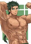  1boy abs bara bare_pectorals closed_mouth green_eyes green_hair highres long_hair looking_at_viewer male_focus mature_male muscular muscular_male original pectorals ponytail smile solo yani_(yano_023) 
