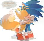  2boys absurdres animal_ears blue_fur c52278 chinese_commentary commentary_request fox_boy fox_ears fox_tail furry furry_male gloves hands_on_another&#039;s_head hedgehog_ears highres hug male_focus multiple_boys simple_background smile sonic_(series) sonic_the_hedgehog tail tails_(sonic) tearing_up teeth translation_request white_background white_gloves yellow_fur 