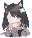 1girl animal_ear_fluff animal_ears bandage_over_one_eye black_hair blue_eyes cat_ears checkered checkered_scarf expressionless highres long_sleeves looking_at_viewer original satou_(3366_s) scarf short_hair sketch sleeves_past_wrists solo sweater 