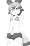  1girl absurdres african_wild_dog_(kemono_friends) animal_ears arms_behind_back bangs bikini breasts chis_(js60216) commentary_request cutoffs dog_ears dog_tail eyebrows_visible_through_hair greyscale halterneck highres kemono_friends looking_at_viewer micro_shorts mismatched_bikini monochrome navel open_fly parted_lips print_bikini short_hair short_shorts shorts small_breasts solo standing swimsuit tail 
