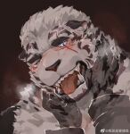  1boy animal_ears arknights bara blue_eyes blush breath close-up demon_king_fish face finger_in_another&#039;s_mouth furry furry_male highres invisible_man looking_at_viewer male_focus mountain_(arknights) muscular muscular_male one_eye_closed pov scar scar_across_eye scar_on_face sexually_suggestive short_hair solo_focus tiger_boy tiger_ears white_fur 
