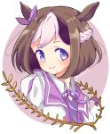  1girl animal_ears brown_hair closed_mouth collared_shirt commentary cropped_torso ear_ribbon hachimaki headband highres horse_ears horse_girl jacket looking_at_viewer multicolored_hair namatyoco neck_ribbon portrait purple_eyes purple_ribbon purple_sailor_collar ribbon sailor_collar shirt short_hair smile solo special_week_(umamusume) twitter_username two-tone_hair umamusume white_hair white_headband white_jacket white_shirt wing_collar 