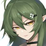  1girl antenna_hair arknights bangs black_choker choker closed_mouth commentary_request gavial_(arknights) green_hair hair_between_eyes highres lips long_hair looking_at_viewer partial_commentary pointy_ears portrait shirt simple_background sirius_enjoliao slit_pupils solo white_background yellow_eyes 