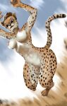  anthro breasts cheetah felid feline female fur genitals hi_res mammal nipples nude pussy solo spots spotted_body spotted_fur ydart 