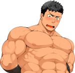  1boy abs arms_behind_back bandaged_arm bandages bara blush eyebrow_cut highres large_pectorals male_focus muscular muscular_male naop_(anything) nipples nude original out-of-frame_censoring pectorals sexually_suggestive short_hair sideburns solo stomach sweat upper_body 