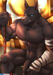  anthro anubian_jackal areola canid canine canis genitals hi_res humanoid jackal league_of_legends looking_at_viewer male mammal muscular muscular_male nasus_(lol) nipples pecs penis riot_games sitting solo tofuboyz vein veiny_muscles veiny_penis video_games 