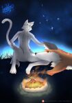  4_fingers absurd_res anthro blue_eyes brown_eyes campfire canid canine detailed_background domestic_cat duo felid feline felis female feral fingers fox fur green_eyes hi_res leokato male male/female mammal night orange_body orange_fur smile white_body white_fur 