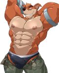  abs absurd_res activision anthro bandicoot big_muscles big_pecs bottomwear bulge camo camo_print clothed clothing crash_bandicoot_(series) crunch_bandicoot genital_outline hi_res maldu male mammal marsupial muscular muscular_anthro muscular_male nipples pants pecs penis_outline solo topless underwear video_games 
