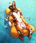  african_wild_dog animal_genitalia animal_penis anthro balls biped black_nose canid canine countershade_legs countershade_torso countershading eyewear eyewear_only fangs fur genitals hi_res male mammal multicolored_body nude partially_submerged penis penis_tip pool_(disambiguation) pool_float pool_toy shetah solo spots spotted_body spotted_fur sunglasses sunglasses_only tazara water 