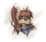  anthro apogee_(tinygaypirate) black_nose brown_body brown_eyes brown_fur brown_hair canid canine canis cheek_tuft collar domestic_dog ear_piercing eyebrow_piercing eyelashes facial_piercing facial_tuft female fur furgonomics furry-specific_piercing gauged_ear hair headshot_portrait hi_res inner_ear_fluff long_hair looking_aside mammal muzzle_piercing nose_piercing piercing ponytail portrait simple_background solo spitz tinygaypirate tuft white_background 