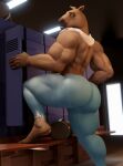  3d_(artwork) anthro big_butt brown_body brown_fur butt clothed clothing digital_media_(artwork) equid equine fur hi_res horse inside locker locker_room looking_back male mammal moreuselesssource muscular muscular_anthro muscular_male muscular_thighs pants_only solo topless towel towel_around_neck 