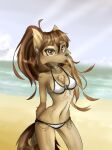  anthro apogee_(tinygaypirate) beach bikini black_nose breasts brown_body brown_eyes brown_fur brown_hair canid canine canis cheek_tuft chest_tuft choker cleavage clothed clothing day domestic_dog ear_piercing eyebrow_piercing eyelashes facial_piercing facial_tuft female fur furgonomics furry-specific_piercing gauged_ear hair hands_behind_back hi_res inner_ear_fluff jewelry long_hair looking_at_viewer mammal muzzle_piercing navel necklace nose_piercing outside piercing ponytail seaside smile solo spitz standing swimwear tinygaypirate tuft water 