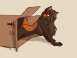  2021 all_fours anthro arm_support bent_arm big_breasts biped black_nose box breasts brown_body brown_ears brown_fur brown_hair brown_nipples brown_tail canid canine cardboard cardboard_box cheek_tuft chest_tuft container digital_media_(artwork) extended_arm facial_tuft female fingers fluffy fluffy_hair fluffy_tail forward_arm_support fox fur glistening glistening_hair hair hanging_breasts humanoid_hands in_box in_container long_hair looking_at_viewer mammal miriam_(starfighter) monotone_ears monotone_hair multicolored_body multicolored_fur nipples nude orange_body orange_eyes orange_fur orange_inner_ear orange_tail portrait side_view simple_background smile snout solo starfighter tan_background three-quarter_portrait tuft two_tone_body two_tone_fur two_tone_tail 