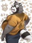 2021 3:4 anthro belly black_nose blush bodily_fluids bottomwear clothing fur grey_body grey_fur hi_res humanoid_hands kemono male mammal moobs nikiciy overweight overweight_male pants procyonid raccoon shirt solo sweat topwear 
