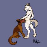  1:1 anthro anthro_on_feral anthro_penetrating anthro_penetrating_feral bestiality brown_body brown_fur canid canine canis domestic_dog duo fellatio feral feral_penetrated fur galluslafayetti german_shepherd hand_on_head herding_dog knotting looking_down looking_pleasured male male/male mammal oral oral_knotting oral_penetration pastoral_dog penetration penile sex white_body white_fur 