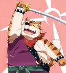  2016 anthro cat_ribeiro clothed clothing domestic_cat dragon_quest dragon_quest_x eye_patch eyewear felid feline felis humanoid_hands kemono male mammal nikiciy overweight overweight_male scar solo square_enix video_games weapon 