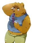  2016 3:4 anthro belly blush bodily_fluids bottomwear brown_body cellphone clothing humanoid_hands kemono male mammal navel nikiciy overweight overweight_male phone shirt shorts simple_background smartphone solo sweat topwear ursid white_background 