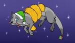  christmas domestic_ferret holidays mammal mustela mustelid musteline sachii_(resachii) tinsel true_musteline 