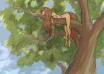  anthro apogee_(tinygaypirate) breasts brown_body brown_fur brown_hair butt canid canine canis day domestic_dog female fur hair hi_res long_hair mammal markings nude outside plant plantigrade small_breasts solo spitz tinygaypirate tree 