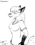  1999 anthro black_and_white breasts canid canine clothed clothing dela_aldershaw dela_the_hooda female fox fur gloves_(marking) hair hooda mammal markings monochrome solo style_wager whiskers 