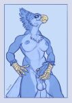  absurd_res anthro avian balls beak blue_balls blue_body blue_eyes blue_nipples blue_penis breasts cryophoenix feathers genitals gynomorph hi_res holding_penis intersex jagal looking_at_viewer lourina_kirinova medium_breasts nipples non-mammal_balls non-mammal_breasts non-mammal_nipples penis solo tail_feathers talons yellow_beak 