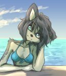  anthro arm_support arm_tuft bikini black_nose blue_eyes breasts canid canine canis cheek_tuft clothing day domestic_dog eyebrow_through_hair eyebrows facial_tuft female fur grey_body grey_fur grey_hair hair hair_over_eye head_tilt hi_res husky looking_at_viewer mammal nordic_sled_dog one_eye_obstructed outside shadow short_hair smile solo spitz suvi_(tinygaypirate) swimwear tinygaypirate translucent translucent_hair tuft water white_body white_fur 