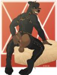  absurd_res anthro balls bambii_dog belt biceps big_butt bullet butt canid canine canis chaps clothing cowboy cowboy_hat digital_media_(artwork) dobermann domestic_dog genitals gloves handwear harness hat headgear headwear hi_res leather leather_clothing looking_at_viewer male mammal manny_(character) muscular muscular_anthro muscular_male nude pawpads paws penis pinscher smile solo teeth_showing 