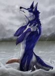  anthro balls blue_body blue_fur canid canine canis erection eyes_closed fog fur genitals hi_res lake lean_body male mammal mountain nude outside patrick_(wolfang322) peaceful pecs penis raining relaxing river silentdeathfootsteps simple_background solo wet wolf 