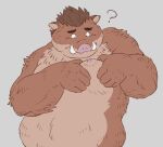  2021 ? anthro brown_body brown_fur fur gadoran humanoid_hands kemono male mammal moobs nipples overweight overweight_male simple_background solo suid suina sus_(pig) wild_boar 