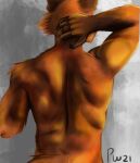  anthro azmut canid canine colored digital_media_(artwork) fox male mammal orange_body solo unfinished 