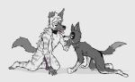  all_fours anthro bodily_fluids canid canine canis domestic_dog drooling duo eye_contact genitals hi_res holding_chin hyaenid looking_at_another male male/male mammal open_mouth penis ricthecusco saliva striped_hyena tongue tongue_out 