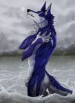  anthro blue_body blue_fur canid canine canis digital_media_(artwork) fog fur hi_res lean_body male mammal mountain nude patrick_(wolfang322) peace_(disambiguation) pecs raining relaxing river silentdeathfootsteps simple_background solo were werecanid werecanine werewolf wet wet_body wet_fur wolf 