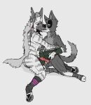 anthro athletic athletic_anthro balls butt canid canine canis clothing cuddling domestic_dog duo embrace erection eyes_closed fluffy_butt footwear french_kissing genitals hi_res hug hyaenid kissing male male/male mammal pawpads paws penis ricthecusco size_difference socks striped_hyena undressing undressing_self 