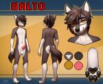  anthro canid canine canis charsheet codyblue-731 genitals hi_res knot male mammal model_sheet paws penis solo teenager wolf yellow_eyes young 