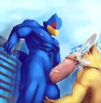  absurd_res anthro avian ball_fondling balls bird blue_body bodily_fluids building canid canine city cum cum_on_face duo erection eyes_closed falco_lombardi fellatio fondling fox fox_mccloud genital_fluids genitals hi_res kovaltiel licking low-angle_view macro male male/male mammal nintendo oral orgasm penile penis penis_lick sex star_fox tongue tongue_out video_games 