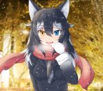  1girl animal_ear_fluff animal_ears artist_request black_hair blue_eyes blush breasts eyebrows_visible_through_hair fate_(series) fur_collar gloves grey_wolf_(kemono_friends) heterochromia highres kemono_friends looking_at_viewer medium_breasts multicolored_hair necktie open_mouth plaid_necktie red_scarf scarf solo two-tone_hair white_gloves white_hair wolf_ears wolf_girl yellow_eyes 