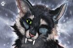  2021 black_body black_fur day detailed_background digital_media_(artwork) felid feline flashw fur green_eyes grey_body grey_fur mammal one_eye_closed outside raining sky teeth 