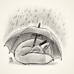  1:1 2018 canid canine eyes_closed feral fox hi_res kippycube mammal monochrome quadruped raining simple_background sleeping umbrella 