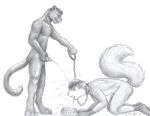  anthro bodily_fluids chain collar dominant dominant_male felid genital_fluids genitals kneeling male male/male mammal moodyferret pantherine peeing_into_bowl peeing_on_another penis pet_bowl submissive submissive_male urine watersports 