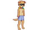  absurd_res alvo_feral anthro bird_dog canid canine canis clothing domestic_dog eyewear flower golden_retriever hi_res hunting_dog male mammal mordex_(brawlhalla) octavius_mordex plant retriever solo summer sunglasses swimwear toony 