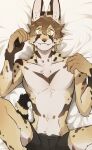  anthro bed clothing fangs featureless_chest felid feline fluffy furniture hi_res long_ears looking_at_viewer luxury_gin male mammal serval slim solo underwear yellow_eyes 