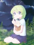  1girl :t antennae bangs black_cape black_shorts blush cape closed_mouth cloud collared_shirt commentary_request eating fern food food_request full_body grass green_eyes green_hair kari_(atsuki_565) looking_at_viewer night outdoors red_cape shirt short_hair short_sleeves shorts sitting sky solo star_(sky) starry_sky touhou two-sided_cape two-sided_fabric wagashi white_shirt wriggle_nightbug 