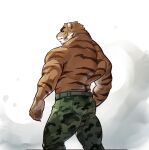  1boy absurdres ass bara belt camouflage camouflage_pants from_behind furry green_belt highres jewelry looking_at_viewer male_focus mature_male muscular muscular_male necklace original pants selkiro solo thick_thighs thighs tiger tiger_boy topless 