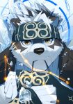  1boy adjusting_clothes adjusting_gloves ainu_clothes animal_ears bara brown_eyes constellation face furry furry_male gloves grey_fur grey_hair headband highres horkeu_kamui in_mouth jacket jacket_on_shoulders male_focus multicolored_hair portrait saikorodekimeru serious short_hair silver_hair solo tokyo_afterschool_summoners two-tone_fur two-tone_hair upper_body vambraces wolf_boy wolf_ears 