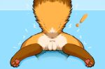  butt canid canine female fox genitals hi_res mammal pussy resachii stuck 
