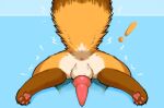  balls butt canid canine fox genitals hi_res male mammal penis resachii stuck 